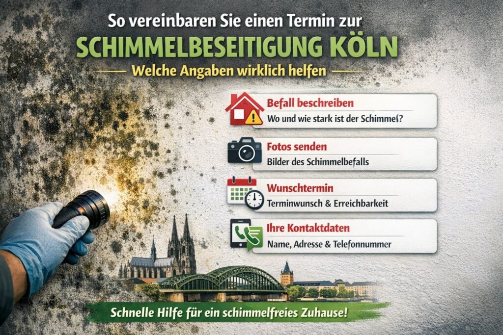 Schimmelbeseitigung Köln
